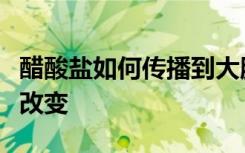 醋酸盐如何传播到大脑的学习系统并直接产生改变