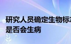 研究人员确定生物标志物以预测感染疟疾的人是否会生病