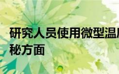 研究人员使用微型温度计照亮线粒体代谢的神秘方面