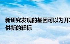 新研究发现的基因可以为开发预防和治疗酒精中毒的药物提供新的靶标