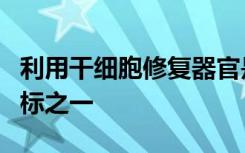 利用干细胞修复器官是现代再生医学的首要目标之一