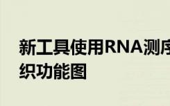 新工具使用RNA测序来绘制丰富的细胞和组织功能图