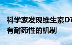 科学家发现维生素D可以帮助阻止使癌细胞具有耐药性的机制