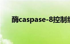 酶caspase-8控制细胞凋亡坏死和发烧