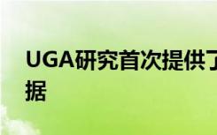 UGA研究首次提供了单个细胞中生物钟的证据