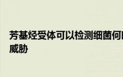 芳基烃受体可以检测细菌何时增加数量过多从而对人体构成威胁