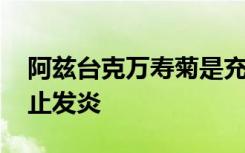 阿兹台克万寿菊是充满活力的花朵 它可以防止发炎