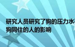 研究人员研究了狗的压力水平如何受到生活方式因素以及与狗同住的人的影响