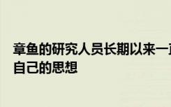 章鱼的研究人员长期以来一直怀疑这些动物的手臂可能拥有自己的思想