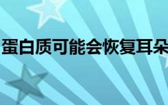 蛋白质可能会恢复耳朵中受损的声音检测细胞