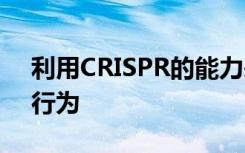 利用CRISPR的能力来控制DNA响应材料的行为