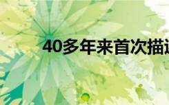 40多年来首次描述了北美药用水蛭