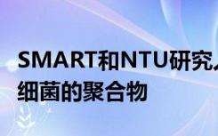 SMART和NTU研究人员设计了可以杀死耐药细菌的聚合物