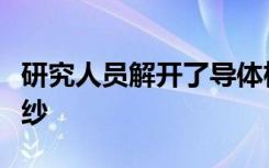 研究人员解开了导体植物根部干细胞基因的面纱