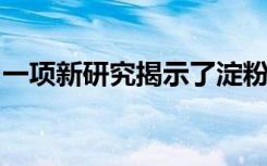 一项新研究揭示了淀粉体的作用以清除脑废物