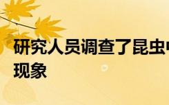 研究人员调查了昆虫中雄性致死微生物的奇怪现象