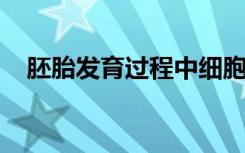 胚胎发育过程中细胞内化的先前未知方面