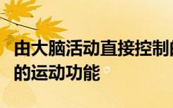 由大脑活动直接控制的假肢可以部分恢复失去的运动功能