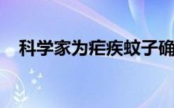 科学家为疟疾蚊子确定了抗药性的新标记