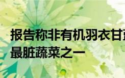 报告称非有机羽衣甘蓝是农药残留污染严重的最脏蔬菜之一