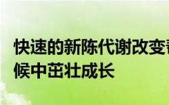 快速的新陈代谢改变帮助哺乳动物在寒冷的气候中茁壮成长