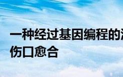 一种经过基因编程的活性水凝胶材料可促进肠伤口愈合