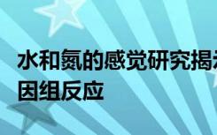 水和氮的感觉研究揭示了限制作物生长的全基因组反应