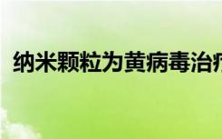 纳米颗粒为黄病毒治疗提供了有希望的平台