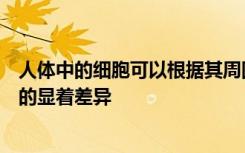 人体中的细胞可以根据其周围组织的机械特性显示出其行为的显着差异