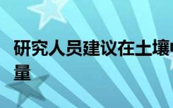 研究人员建议在土壤中添加生物肥料以提高产量