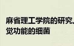 麻省理工学院的研究人员设计出了具有多色视觉功能的细菌