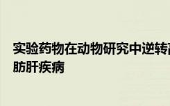 实验药物在动物研究中逆转高胆固醇肥胖相关的非酒精性脂肪肝疾病