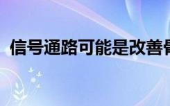 信号通路可能是改善骨质疏松症治疗的关键