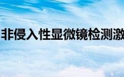 非侵入性显微镜检测激活状态并区分细胞类型