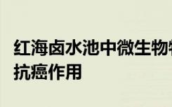 红海卤水池中微生物物种的提取物被发现具有抗癌作用