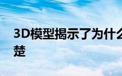 3D模型揭示了为什么更大的大黄蜂看得更清楚