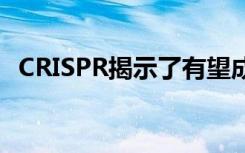 CRISPR揭示了有望成为癌症药物的新靶标