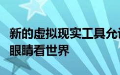 新的虚拟现实工具允许您通过小灵长类动物的眼睛看世界