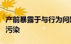 产前暴露于与行为问题相关的大脑变化有关的污染