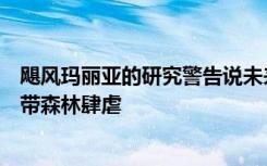 飓风玛丽亚的研究警告说未来气候驱动的风暴可能使许多热带森林肆虐