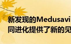 新发现的Medusavirus为生物和病毒如何共同进化提供了新的见解