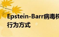 Epstein-Barr病毒株的遗传差异如何改变其行为方式