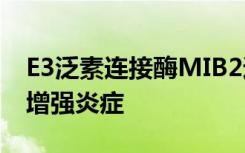 E3泛素连接酶MIB2通过降解泛素化酶CYLD增强炎症