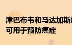 津巴布韦和马达加斯加本地植物的水果提取物可用于预防癌症