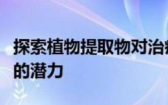 探索植物提取物对治疗肾毒性和其他慢性疾病的潜力