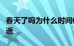 春天了吗为什么时间似乎随着年龄的增长而飞逝