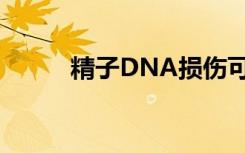 精子DNA损伤可能导致重复流产