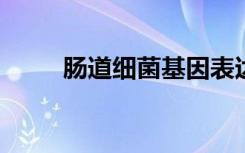 肠道细菌基因表达被宿主抗体改变