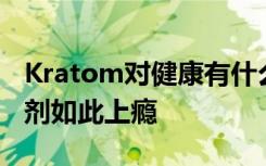 Kratom对健康有什么影响是什么让这种补充剂如此上瘾