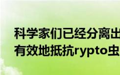 科学家们已经分离出一种天然化学物质 可以有效地抵抗rypto虫